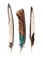 Three Feathers Fine Art Print