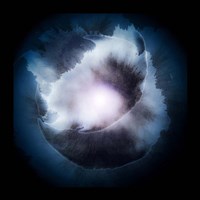 Water Color Drop Fine Art Print