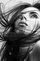 Windy Day Fine Art Print