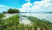 Tropical Coastline Fine Art Print
