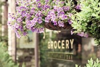 Country Grocery Store Fine Art Print