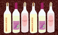 Moscato Bottles In A Row Fine Art Print