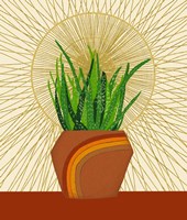 Snake Plant Fine Art Print