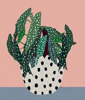 Plant in Dotted Pot Fine Art Print