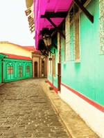 Island Street Fine Art Print