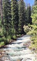 Mountain River Fine Art Print