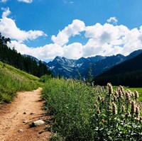 Lovely Path Fine Art Print