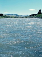 Natures Beauty Fine Art Print