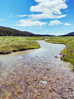 Rocky Stream Fine Art Print