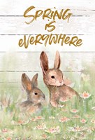 Spring Is Everywhere Fine Art Print