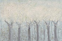 Spring Trees Fine Art Print