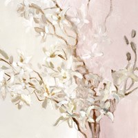 Blushing Orchids Fine Art Print