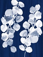 Eucalyptus Leaves on Navy Fine Art Print