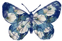 Floral Indigo Butterfly Fine Art Print