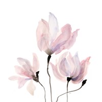 Floral Sway IV Fine Art Print