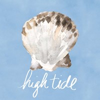High Tide Shell Framed Print