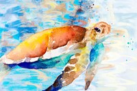 Turtle Passing Through I Fine Art Print