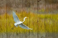 Golden Hour Fine Art Print