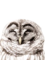 Warm Feathers Fine Art Print