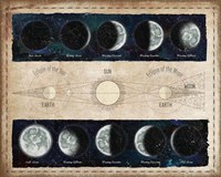 Moon Phases and Eclipses Fine Art Print