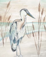 Heron By Beach Grass I Fine Art Print