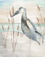 Heron by Beach Grass II Fine Art Print