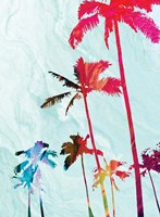 Colorful Palms Fine Art Print