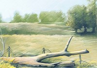 Sunrise In The Field Fine Art Print