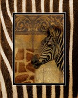 Elegant Safari with Zebra Border Fine Art Print