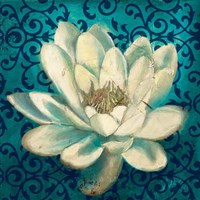 Water Lilly on Teal Fine Art Print