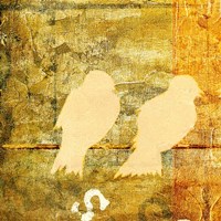 Birds Meeting Orange I Framed Print