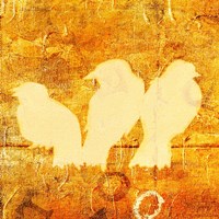 Birds Meeting Orange II Framed Print