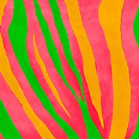 Psychedelic Zebra Print II Framed Print