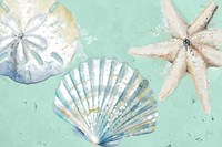 Beach Shells on Turquoise Rectangle Fine Art Print
