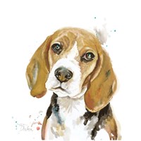 Watercolor Beagle Fine Art Print