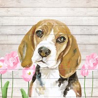 Beagle With Flowers Fine Art Print