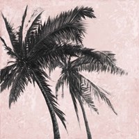 Gray Palm on Pink II Fine Art Print
