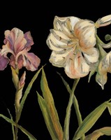 The Garden At Night I Framed Print