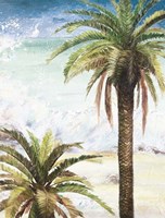 Coastal Palms I Framed Print