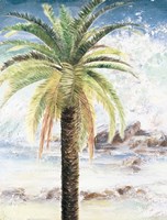 Coastal Palms II Framed Print