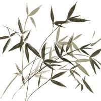 Harmonious I Fine Art Print