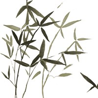 Harmonious II Fine Art Print