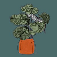 The Retro Pot On Teal I Framed Print