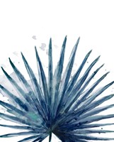 Teal Palm Frond II Framed Print
