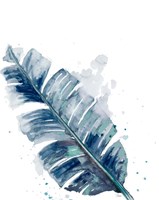 Teal Palm Frond III Framed Print