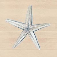 Starfish Framed Print