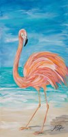 Flamingo II Framed Print