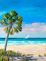 Palm Coast Fine Art Print