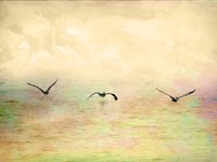 Seagulls In The Sky I Fine Art Print