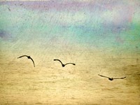 Seagulls In The Sky II Fine Art Print